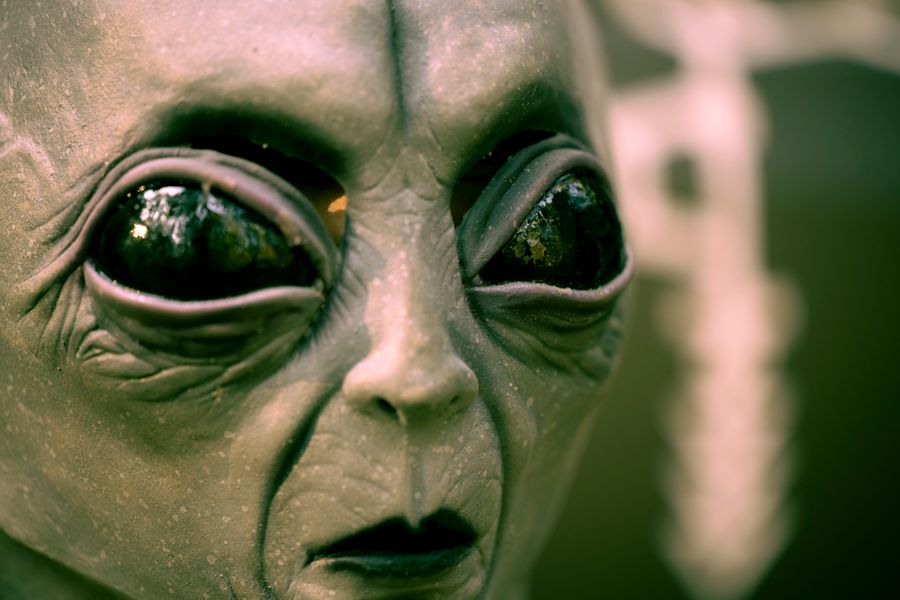 Close de um alienígena Grey clássico, com grandes olhos negros molhados e pele esverdeada